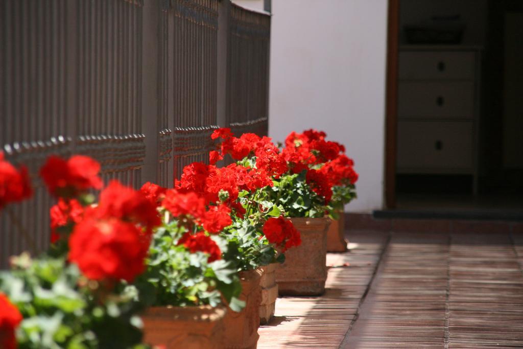 B&B Il Vicolo Anacapri  Buitenkant foto